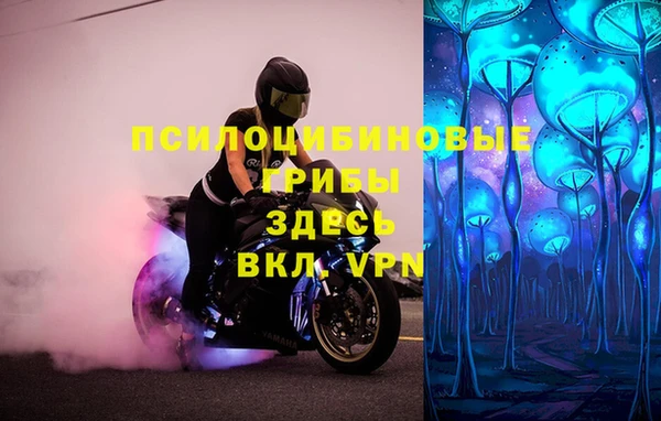 стафф Белокуриха