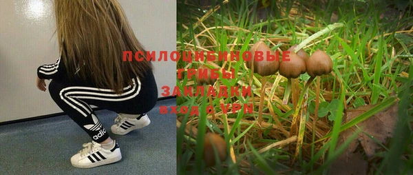 стафф Белокуриха