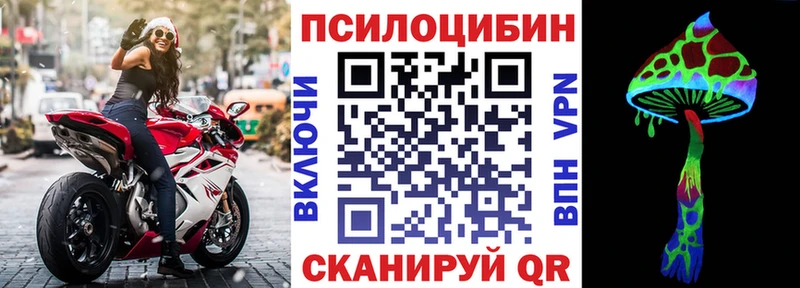 Галлюциногенные грибы ЛСД Курчалой