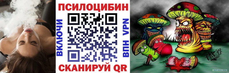 Псилоцибиновые грибы прущие грибы  Курчалой 