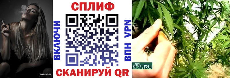 Конопля OG Kush Курчалой